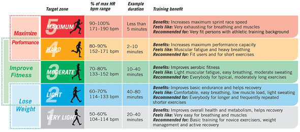 heart-rate-zones