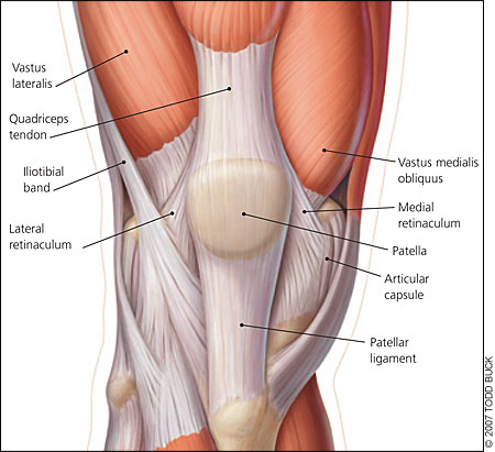 Pro-Tec Patellar Tendon Knee Strap – Portland Running Company