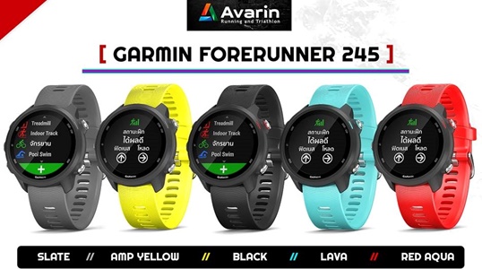 garmin 245