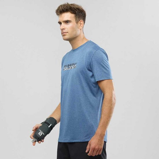 salomon pulse handheld