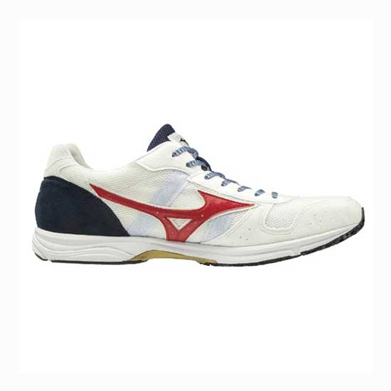 mizuno wave japan